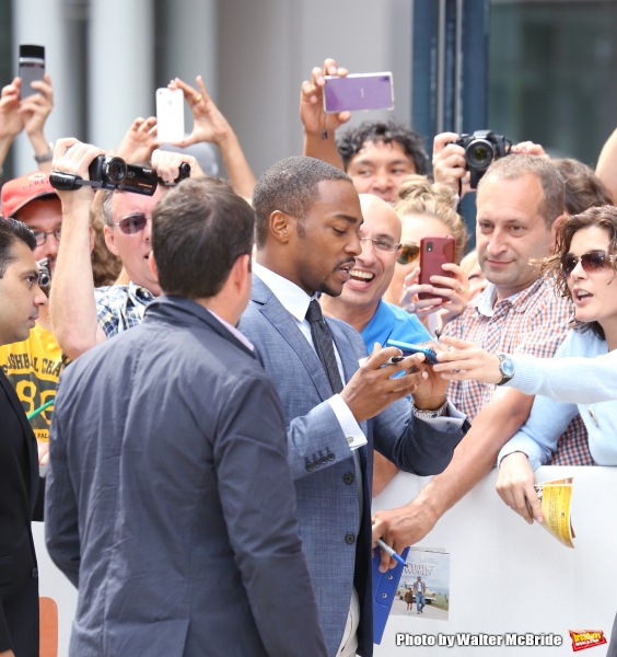 Photo Coverage: On the TIFF Red Carpet for BLACK & WHITE Image