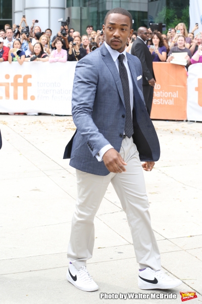 Photo Coverage: On the TIFF Red Carpet for BLACK & WHITE Image