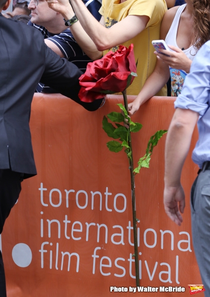 Photo Coverage: On the TIFF Red Carpet for WHILE WE WERE YOUNG with Ben Stiller, Adam Driver, Amanda Seyfried & Naomi Watts Image
