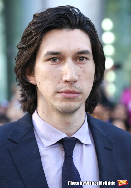 Photo Coverage: On the TIFF Red Carpet for THIS IS WHERE I LEAVE YOU Image