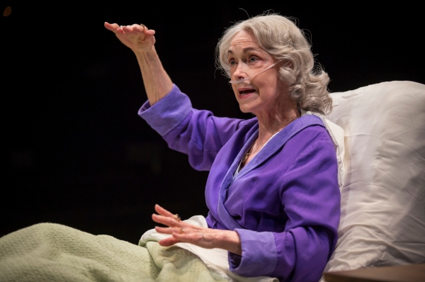 Photo Flash: First Look at Lookingglass Theatre Company's DEATH TAX, Now Playing Through 10/12 Image