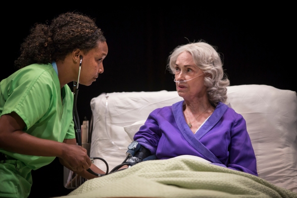 Photo Flash: First Look at Lookingglass Theatre Company's DEATH TAX, Now Playing Through 10/12 Image