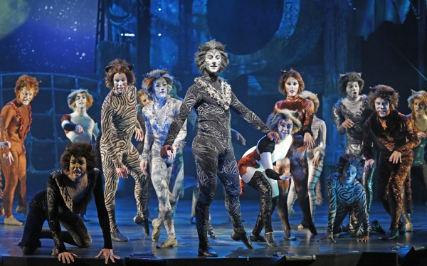 Photo Flash: First Look at CATS at the Paramount Theatre in Aurora 