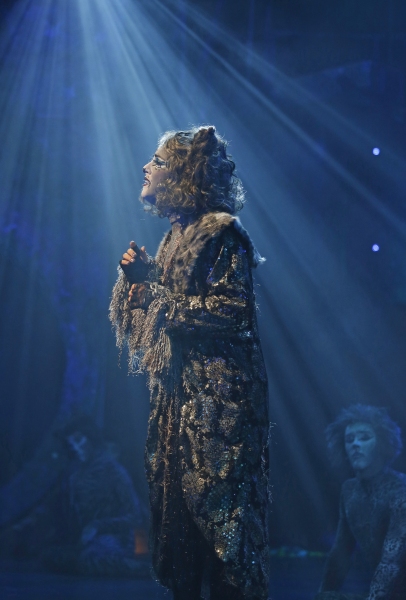 Photo Flash: First Look at CATS at the Paramount Theatre in Aurora 