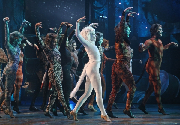 Photo Flash: CATS Opens Tonight at the Paramount Theatre in Aurora Image