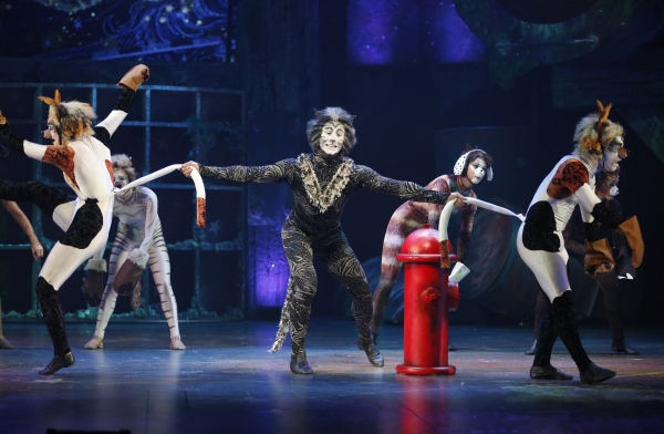 Photo Flash: CATS Opens Tonight at the Paramount Theatre in Aurora Image
