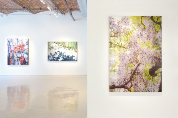 Photo Flash: Gallery Henoch Presents a Spotlight on Susan Goldsmith and Janet Rickus Image