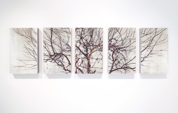 Photo Flash: Gallery Henoch Presents a Spotlight on Susan Goldsmith and Janet Rickus Image