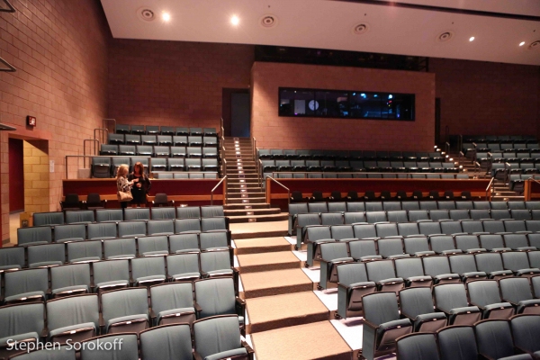 Photo Coverage: JOE PISCOPO Plays The Ciccone Theatre Image