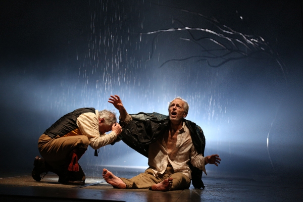 Photo Flash: First Look at Larry Yando in Chicago Shakespeare's KING LEAR Image