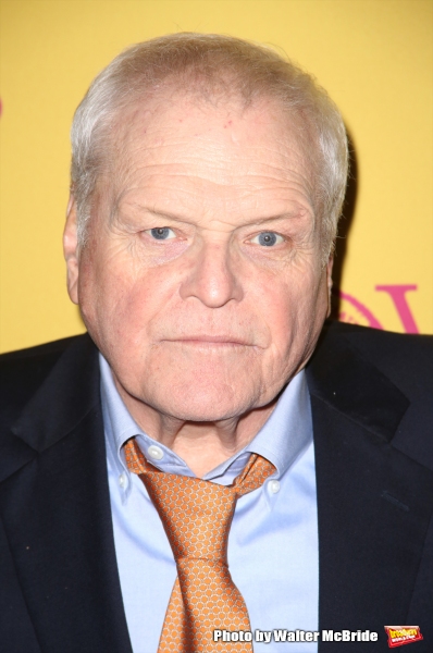 Photo Coverage: Mia Farrow and Brian Dennehy Celebrate Opening Night of LOVE LETTERS!  Image