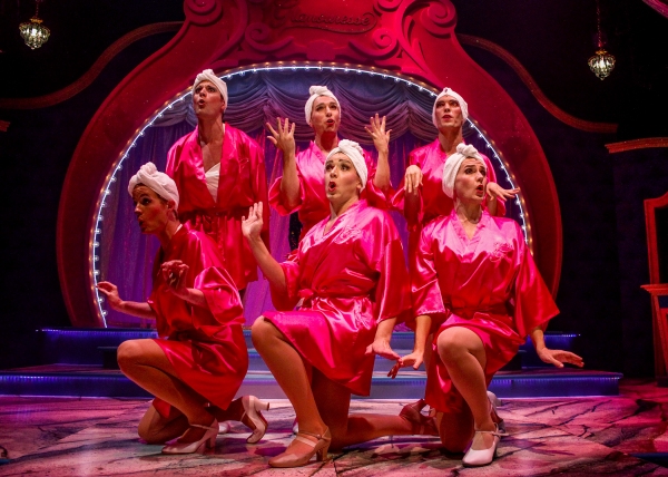 Photo Flash: A Look Back at Cygnet Theatre's Summer Show PAGEANT Image