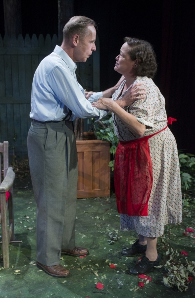 Photo Flash: First Look at Raven Theatre's ALL MY SONS Image