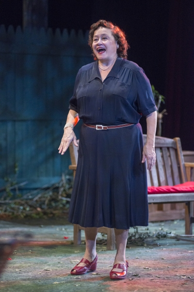 Photo Flash: First Look at Raven Theatre's ALL MY SONS Image