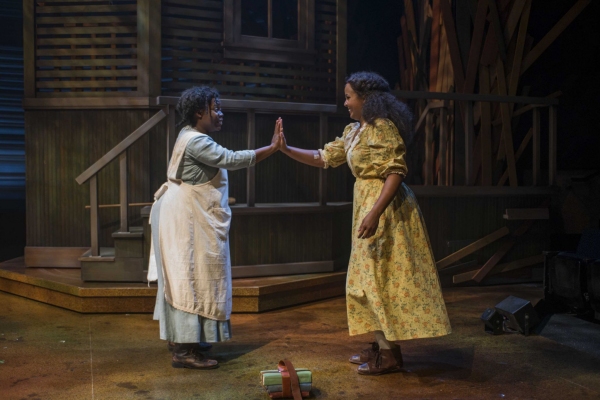 Photo Flash: First Look at Allyson Kaye Daniel, Zonya Love, Nathaniel Stampley and More in Milwaukee Rep's THE COLOR PURPLE Image