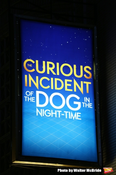 Photo Coverage: THE CURIOUS INCIDENT OF THE DOG IN THE NIGHT-TIME Cast Takes Opening Nght Bows  Image