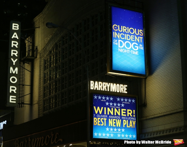 Photo Coverage: THE CURIOUS INCIDENT OF THE DOG IN THE NIGHT-TIME Cast Takes Opening Nght Bows  Image