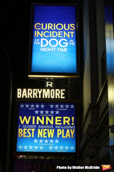 Photo Coverage: THE CURIOUS INCIDENT OF THE DOG IN THE NIGHT-TIME Cast Takes Opening Nght Bows  Image