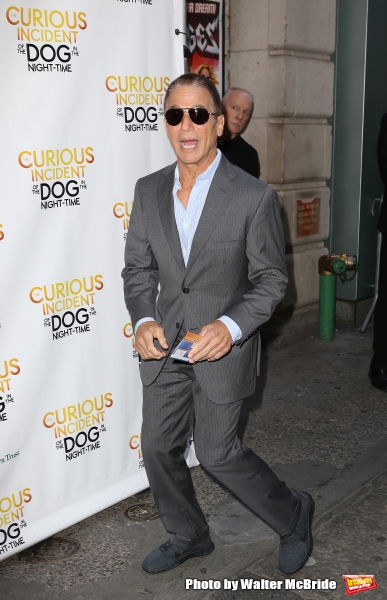 Photo Coverage: Inside the Opening Night Theatre Arrivals for THE CURIOUS INCIDENT OF THE DOG IN THE NIGHT-TIME  Image