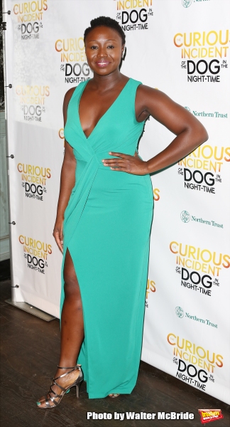 Photo Coverage: THE CURIOUS INCIDENT OF THE DOG IN THE NIGHT-TIME Company Celebrates Opening Night!  Image