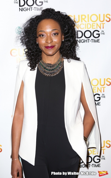 Photo Coverage: THE CURIOUS INCIDENT OF THE DOG IN THE NIGHT-TIME Company Celebrates Opening Night!  Image