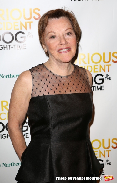 Photo Coverage: THE CURIOUS INCIDENT OF THE DOG IN THE NIGHT-TIME Company Celebrates Opening Night!  Image