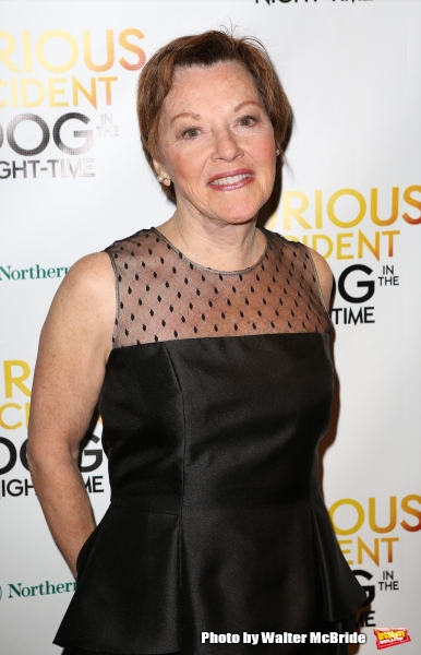 Photo Coverage: THE CURIOUS INCIDENT OF THE DOG IN THE NIGHT-TIME Company Celebrates Opening Night! Image