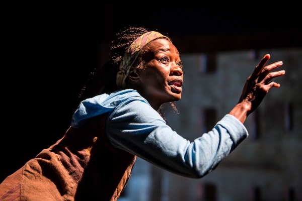 Photo Flash: First Look at Sonja Parks in CTC's SEEDFOLKS Image