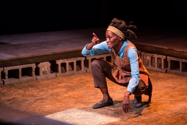 Photo Flash: First Look at Sonja Parks in CTC's SEEDFOLKS Image