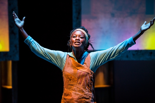 Photo Flash: First Look at Sonja Parks in CTC's SEEDFOLKS Image