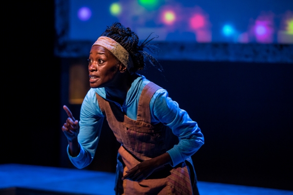 Photo Flash: First Look at Sonja Parks in CTC's SEEDFOLKS Image