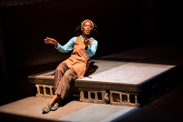 Photo Flash: First Look at Sonja Parks in CTC's SEEDFOLKS Image