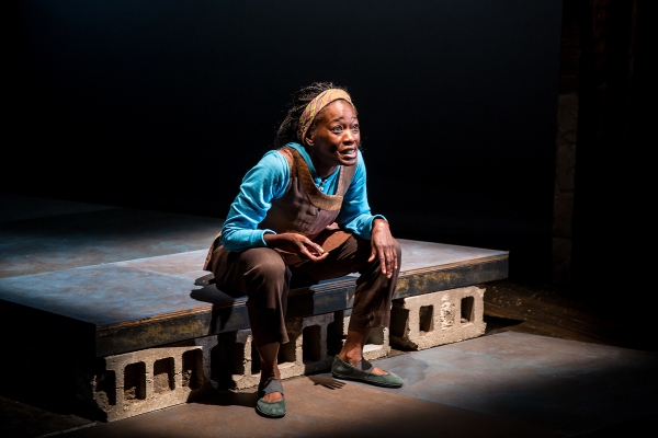 Photo Flash: First Look at Sonja Parks in CTC's SEEDFOLKS Image