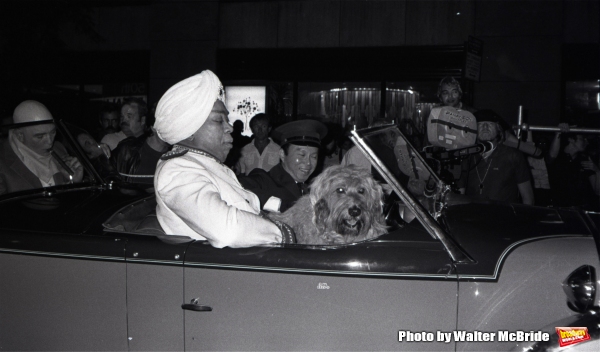 Photo Blast from Past: On the Set with ANNIE Cast in 1982 Image