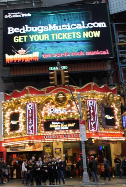 Photo Flash: Cast of BEDBUGS!!! Performs in Times Square Image