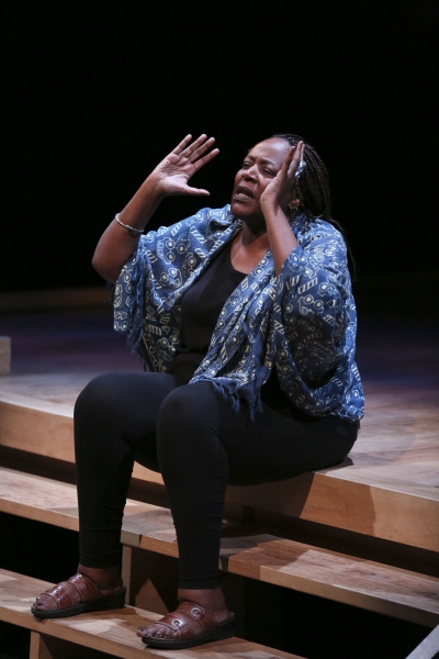 Actress Dael Orlandersmith Photo