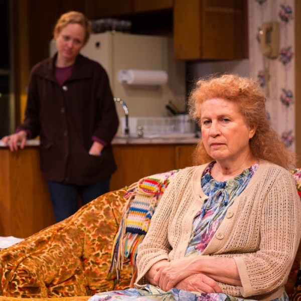 Photo Flash: First Look at CoHo's 'NIGHT, MOTHER Image