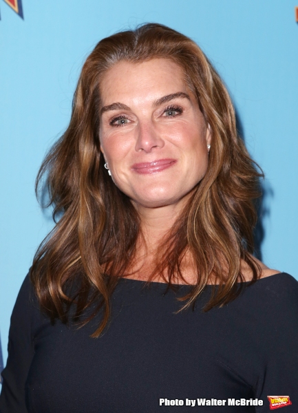 Photo Coverage: Stars Hit the ON THE TOWN Red Carpet  Image