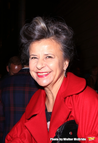 Photo Coverage: Stars Hit the ON THE TOWN Red Carpet  Image