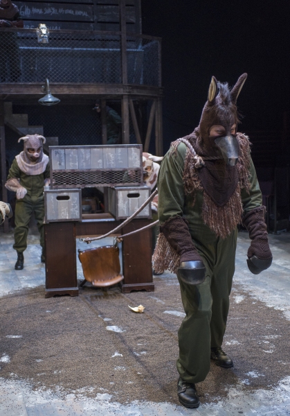 Photo Flash: First Look at Steppenwolf for Young Adults' ANIMAL FARM Image
