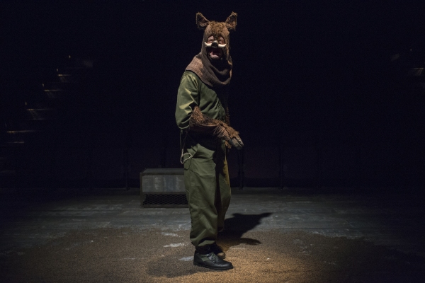 Photo Flash: First Look at Steppenwolf for Young Adults' ANIMAL FARM Image