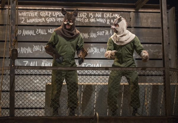 Photo Flash: First Look at Steppenwolf for Young Adults' ANIMAL FARM Image
