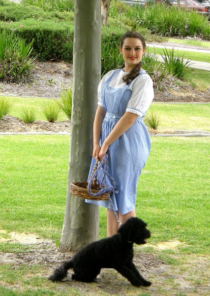 Photo Flash: First Look- The Old Mill Theatre Presents THE WIZARD OF OZ Image