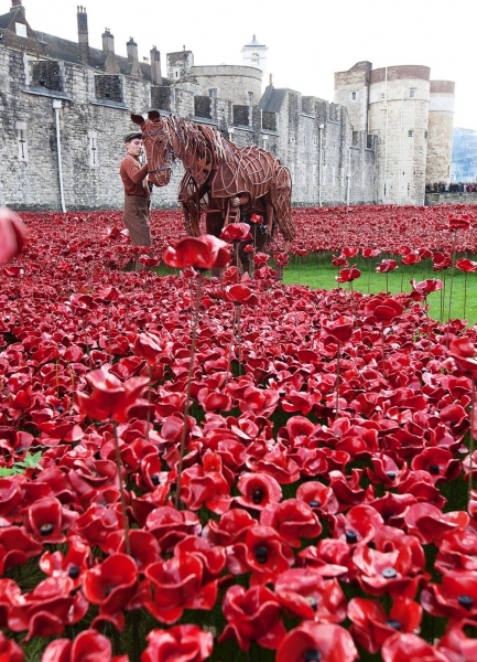 Photo Flash: WAR HORSE's Joey and Author Michael Morpurgo at the Tower of London Image