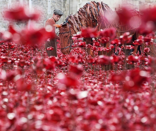 Photo Flash: WAR HORSE's Joey and Author Michael Morpurgo at the Tower of London Image
