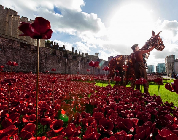 Photo Flash: WAR HORSE's Joey and Author Michael Morpurgo at the Tower of London Image