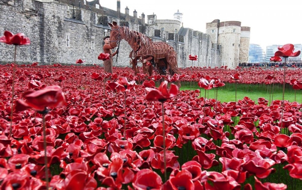 Photo Flash: WAR HORSE's Joey and Author Michael Morpurgo at the Tower of London Image