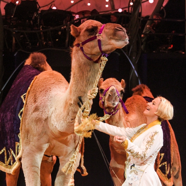 Photo Flash: The Big Apple Circus Comes to Town - at a Lincoln Center Near You! 