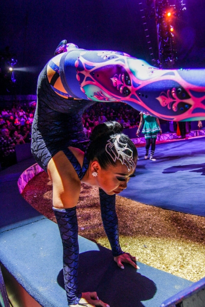 Photo Flash: The Big Apple Circus Comes to Town - at a Lincoln Center Near You! 