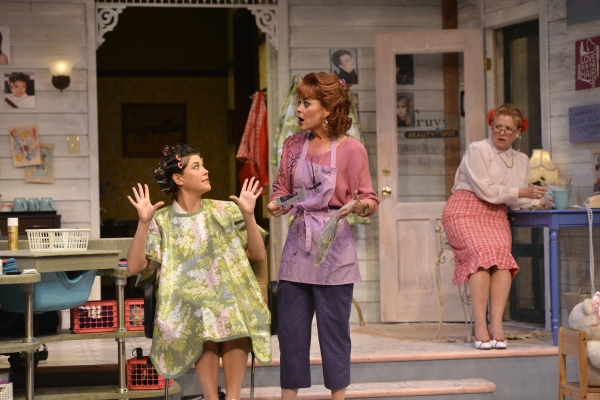 Photo Flash: First Look at Becky Ann Baker, Zoe Winters and More in Alliance Theatre's STEEL MAGNOLIAS 